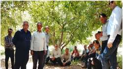 آموزش باغداری با سم کمتر و محصول سالمتر در دنا